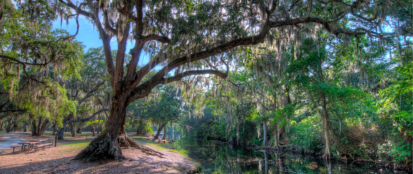 New Homes in Orlando ICI Homes